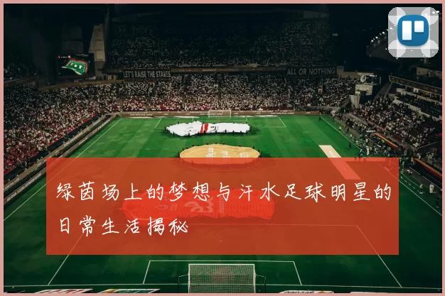 绿茵场上的梦想与汗水足球明星的日常生活揭秘