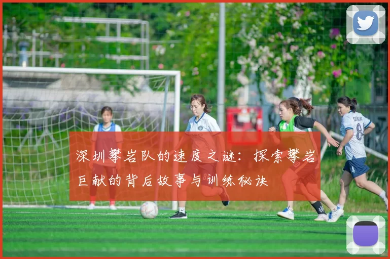 深圳攀岩队的速度之谜：探索攀岩巨献的背后故事与训练秘诀