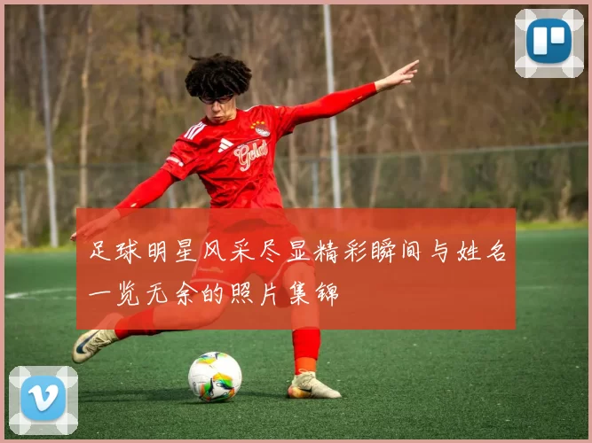 足球明星风采尽显精彩瞬间与姓名一览无余的照片集锦