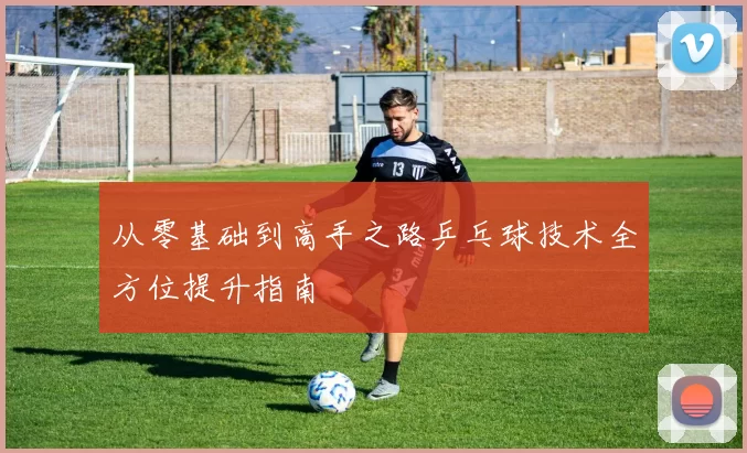 从零基础到高手之路乒乓球技术全方位提升指南