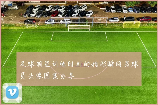 足球明星训练时刻的精彩瞬间男球员头像图集分享