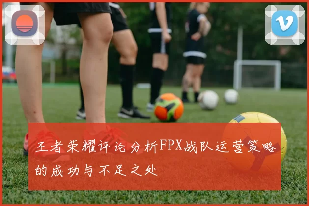 王者荣耀评论分析FPX战队运营策略的成功与不足之处