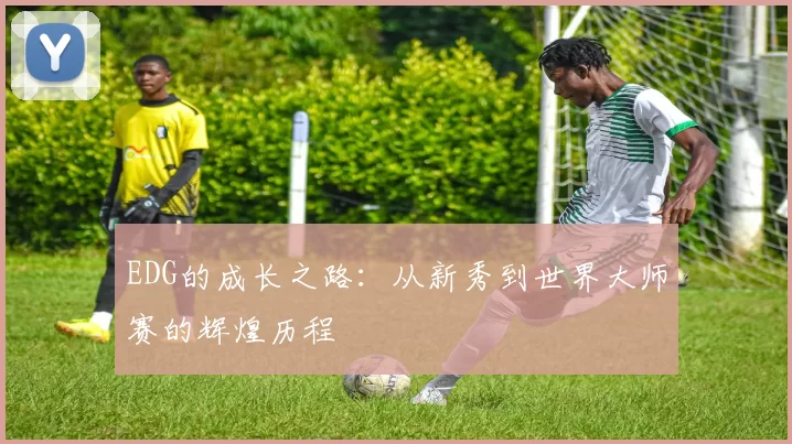 EDG的成长之路：从新秀到世界大师赛的辉煌历程