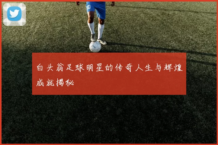 白头翁足球明星的传奇人生与辉煌成就揭秘