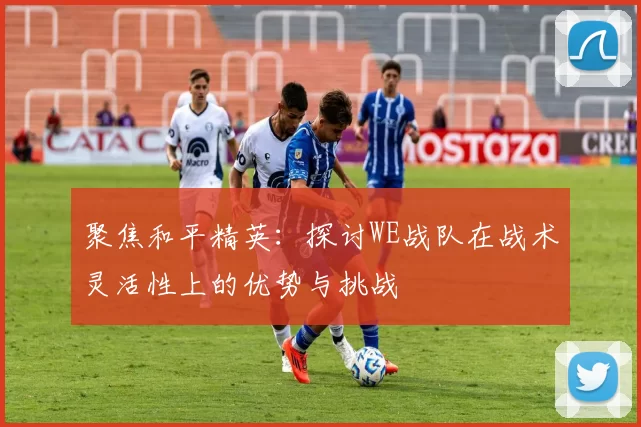 聚焦和平精英：探讨WE战队在战术灵活性上的优势与挑战