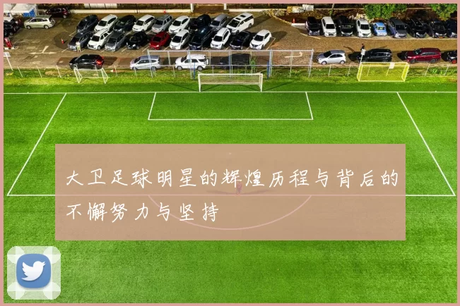 大卫足球明星的辉煌历程与背后的不懈努力与坚持