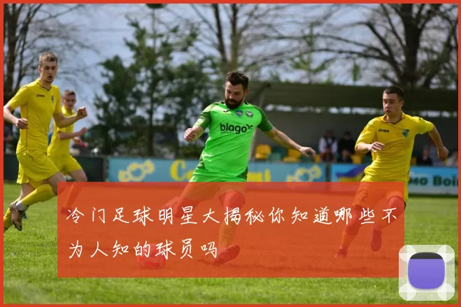 冷门足球明星大揭秘你知道哪些不为人知的球员吗