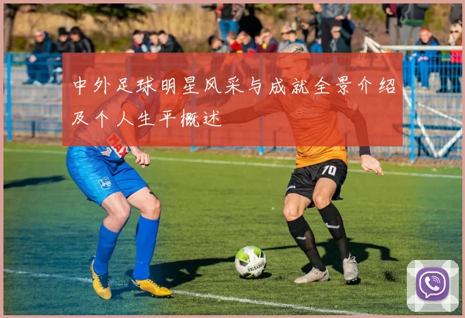 中外足球明星风采与成就全景介绍及个人生平概述