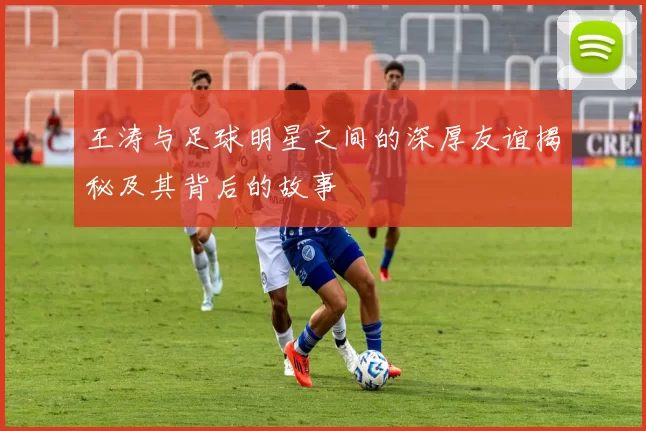 王涛与足球明星之间的深厚友谊揭秘及其背后的故事