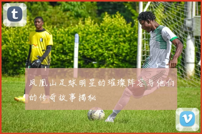 凤凰山足球明星的璀璨阵容与他们的传奇故事揭秘