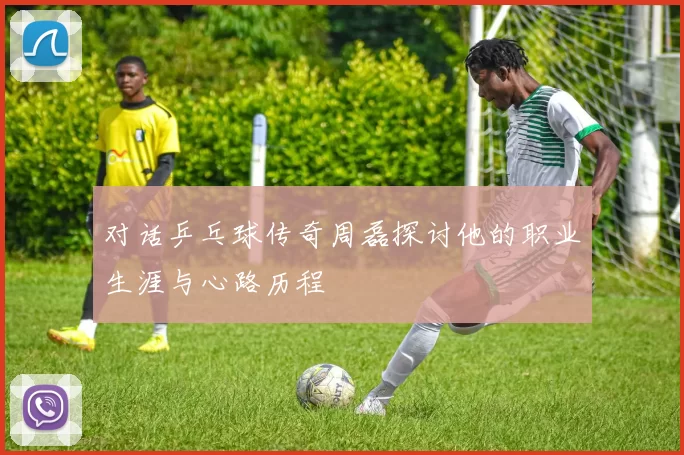 对话乒乓球传奇周磊探讨他的职业生涯与心路历程
