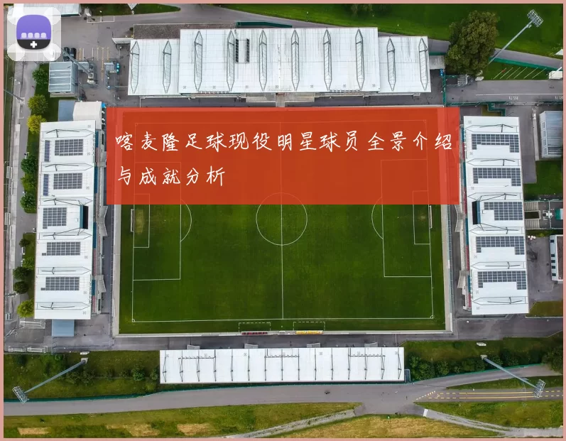 喀麦隆足球现役明星球员全景介绍与成就分析