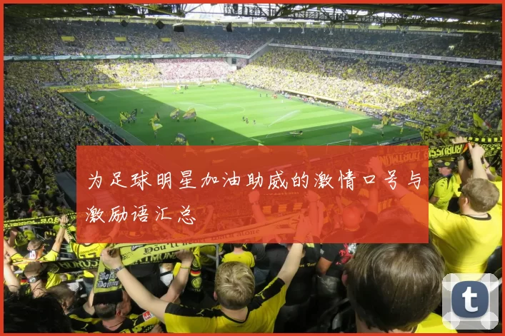 为足球明星加油助威的激情口号与激励语汇总