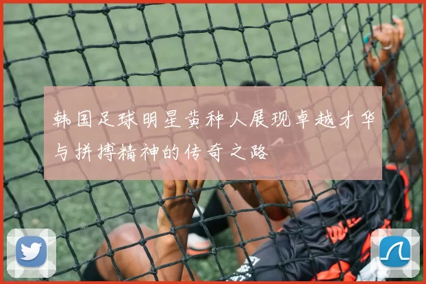 韩国足球明星黄种人展现卓越才华与拼搏精神的传奇之路