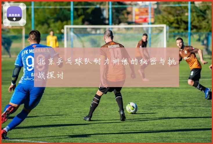 北京乒乓球队耐力训练的秘密与挑战探讨