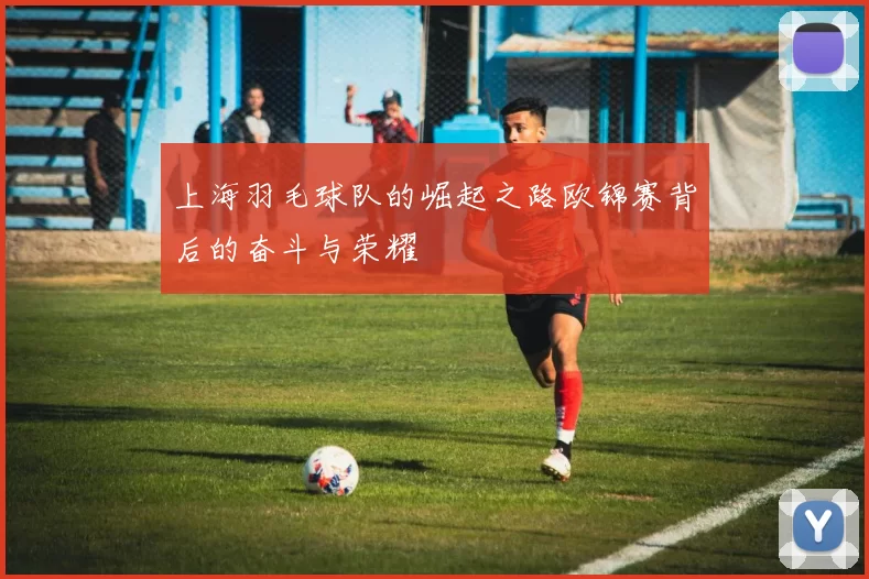 上海羽毛球队的崛起之路欧锦赛背后的奋斗与荣耀