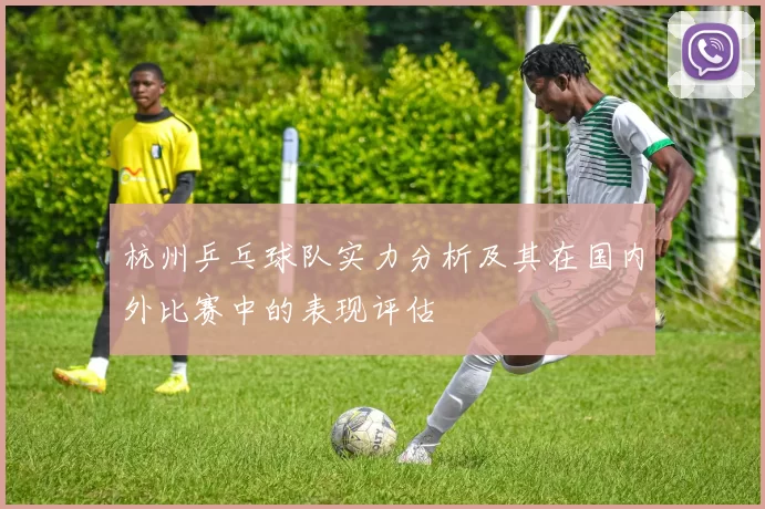 杭州乒乓球队实力分析及其在国内外比赛中的表现评估