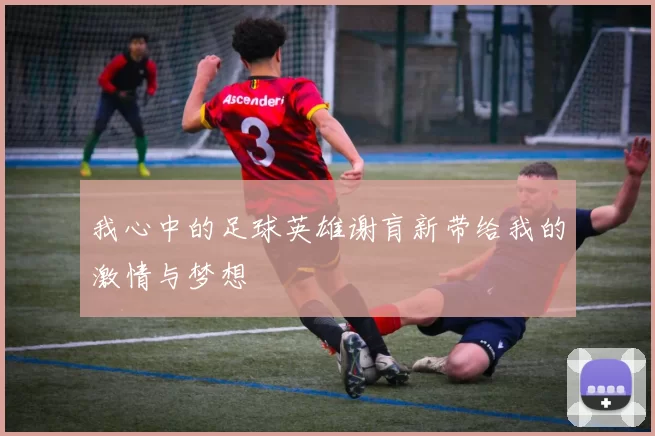 我心中的足球英雄谢肓新带给我的激情与梦想