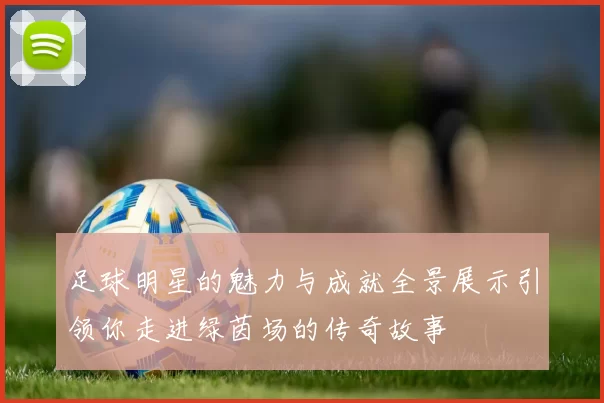 足球明星的魅力与成就全景展示引领你走进绿茵场的传奇故事