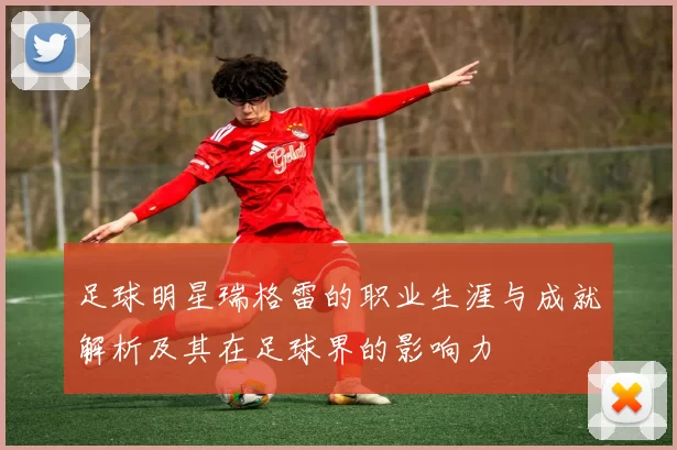足球明星瑞格雷的职业生涯与成就解析及其在足球界的影响力