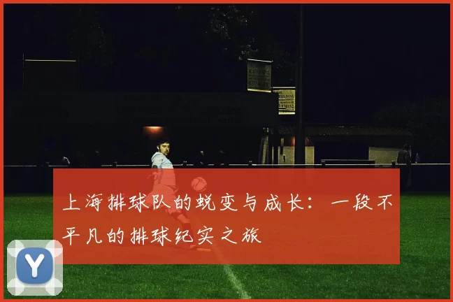 上海排球队的蜕变与成长：一段不平凡的排球纪实之旅