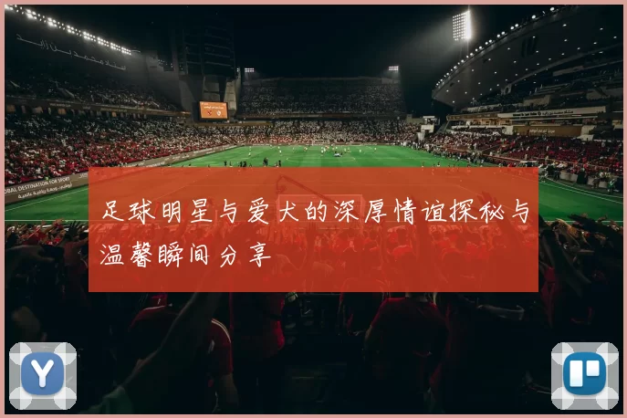 足球明星与爱犬的深厚情谊探秘与温馨瞬间分享