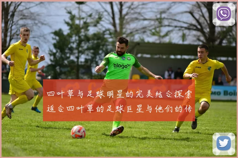 四叶草与足球明星的完美结合探索适合四叶草的足球巨星与他们的传奇故事