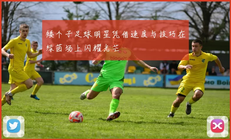 矮个子足球明星凭借速度与技巧在绿茵场上闪耀光芒