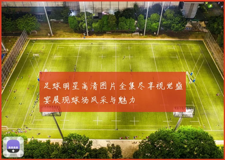 足球明星高清图片全集尽享视觉盛宴展现球场风采与魅力